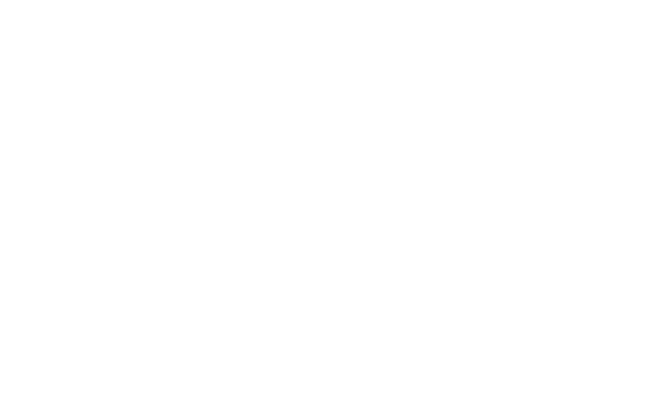 REALIZE